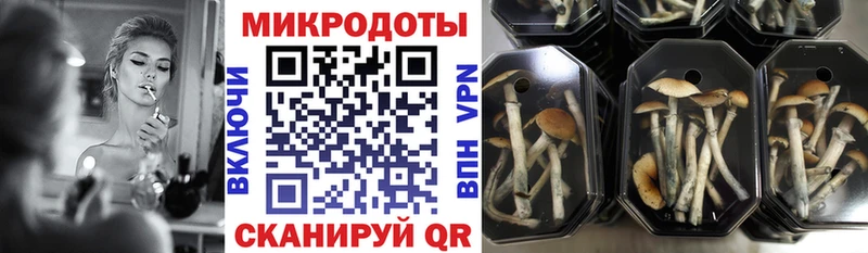 Псилоцибиновые грибы мухоморы  дарк нет официальный сайт  Вихоревка  blacksprut рабочий сайт 